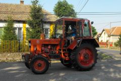 falunap_egerfarmos_2015_11_20150805_2074726683