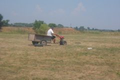 falunap_egerfarmos_2015_120_20150805_1638360241