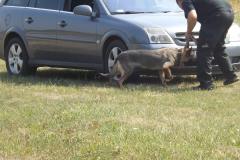 falunap_egerfarmos_2015_144_20150805_1039734312