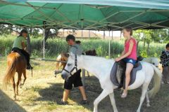 falunap_egerfarmos_2015_26_20150805_2041210647