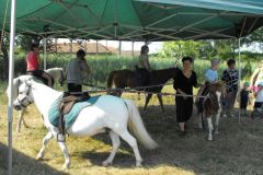 falunap_egerfarmos_2015_27_20150805_1882033423