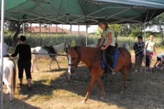 falunap_egerfarmos_2015_28_20150805_1963003661