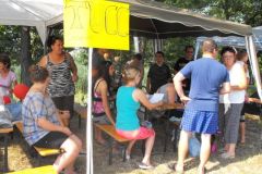 falunap_egerfarmos_2015_37_20150805_1856246571