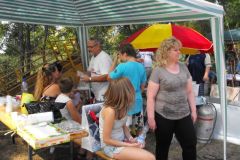 falunap_egerfarmos_2015_42_20150805_1295255092