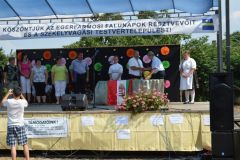 falunap_egerfarmos_2015_57_20150805_1148763002