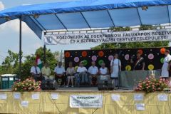 falunap_egerfarmos_2015_59_20150805_2099872619