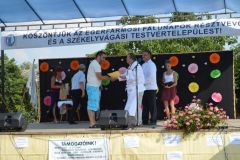 falunap_egerfarmos_2015_66_20150805_1252613509