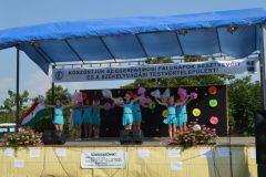 falunap_egerfarmos_2015_74_20150805_1170193203
