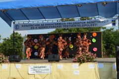 falunap_egerfarmos_2015_81_20150805_1988111428