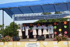falunap_egerfarmos_2015_86_20150805_1767960119