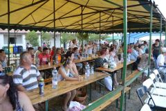 falunap_egerfarmos_2015_90_20150805_1341382427