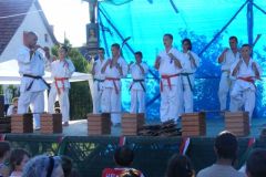 20100802_1233502493_dscf2320