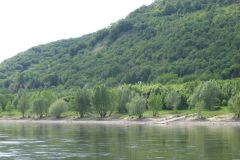 20110517_1537924188_img_2776