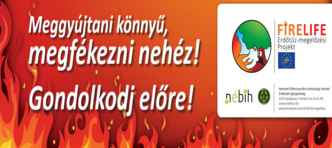 Felhívás: Erdőtűz megelőzési projekt Felhívás: Erdőtűz megelőzési projekt